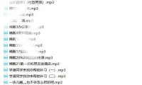 【全网独家】王稀饭  全集 -6G