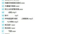 【绝版珍藏】B站桥桥超温柔 全集 -4G