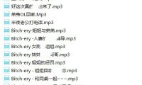 【绝版珍藏】Bitchery全集 -1.8G