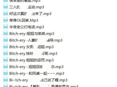 【绝版珍藏】Bitchery全集 -1.8G