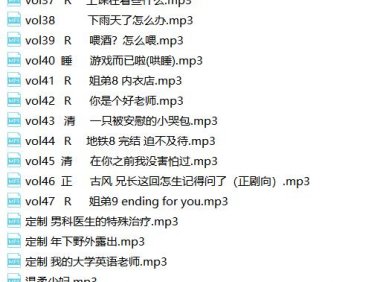 【绝版资源】Jok（音声+视频）完整版-77部