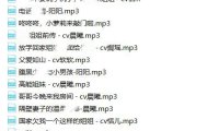 【绝版珍藏】逍遥工作室-超保真音声合集