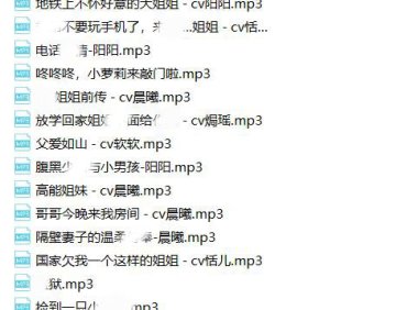 【绝版珍藏】逍遥工作室-超保真音声合集