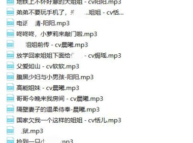 【绝版珍藏】逍遥工作室-超保真音声合集
