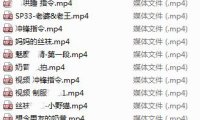 【绝版珍藏】小野猫本人绝版视频大合集