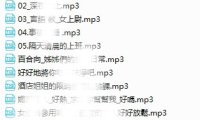 拾參Thirteen -大合集