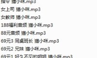 喵小咪 -音声8部