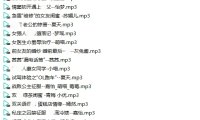 【全网独家】2025小野猫音声Z系列_超大合集 -30G