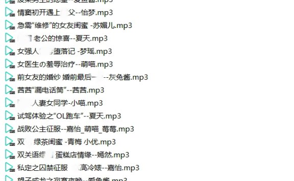 【全网独家】2025小野猫音声Z系列_超大合集 -30G